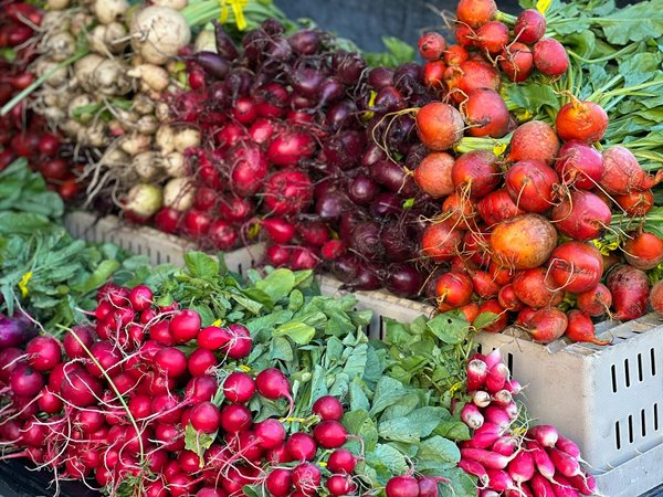 Optimisez votre espace avec un range bouteilles vertical